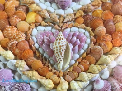 Shell-Love-Bug-junonia-seashell-heart-art-1